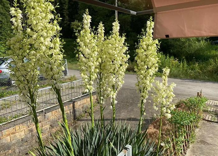 アパート Monteurunterkunft *